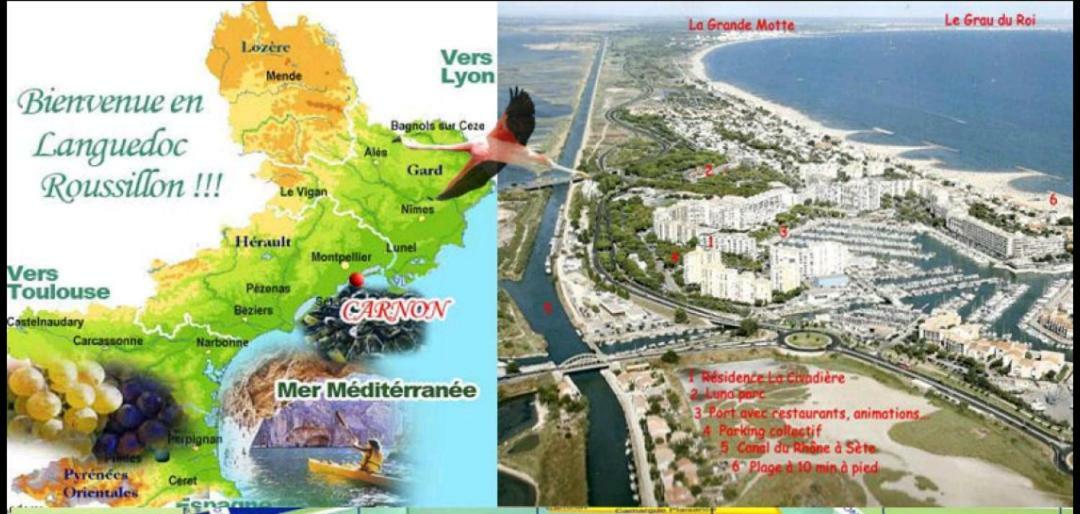 VILLA HÉLÈNE-SUITE Junior MONTPELLIER SUD-PISCINE PRIVÉ-À 2MIN DES PLAGES Pérols Esterno foto